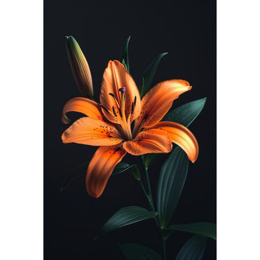 Lilly Painting